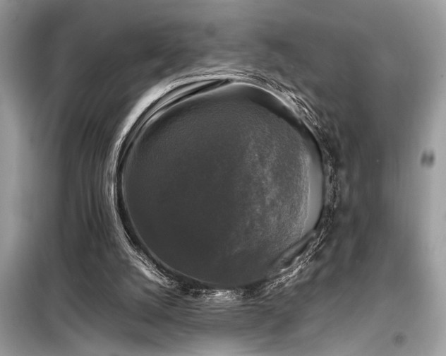 X0000098190056200804241254
