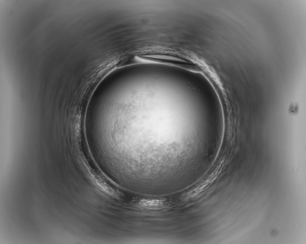X0000098190057200804241254