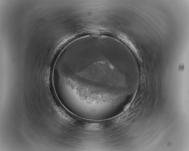 X0000098190058200804241254