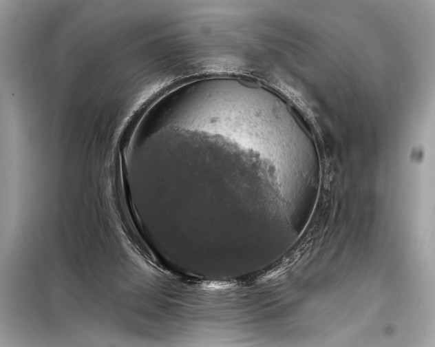 X0000098190060200804241254
