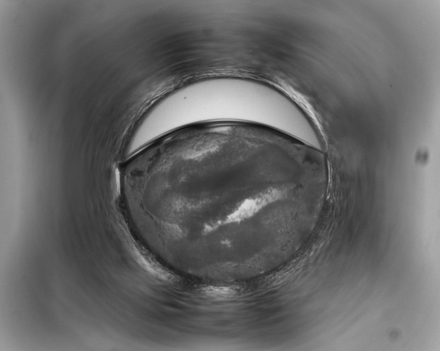 X0000098190061200804241254
