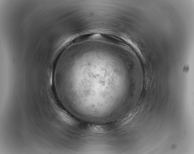 X0000098190062200804241254