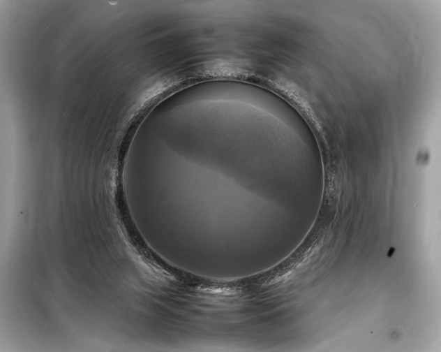 X0000098190063200804241254