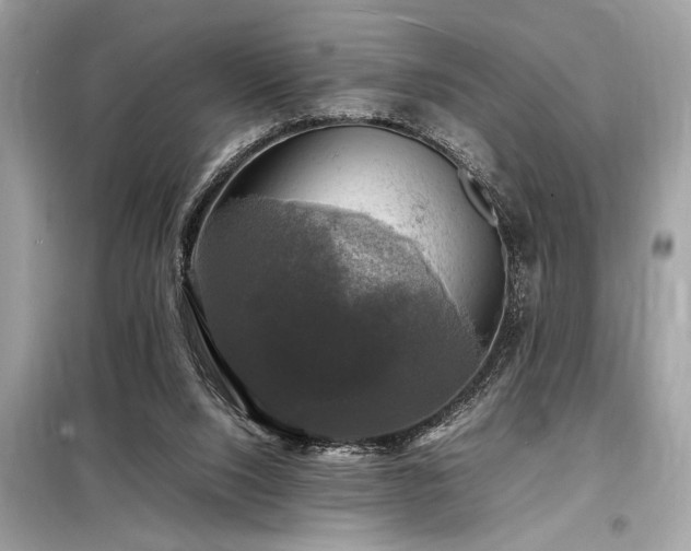 X0000098190064200804241254