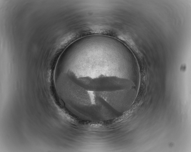 X0000098190066200804241254