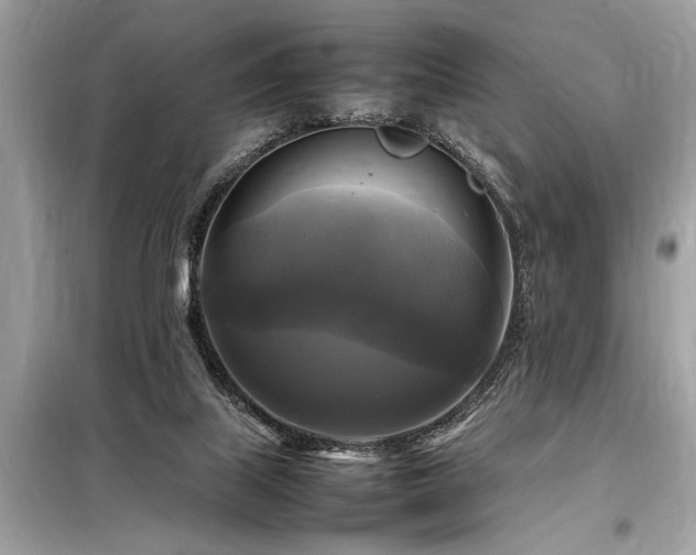 X0000098190067200804241254