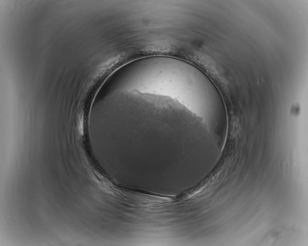 X0000098190068200804241254