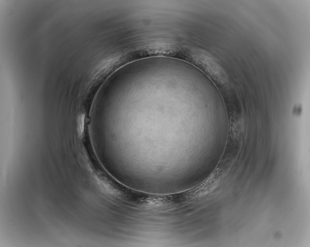 X0000098190070200804241254
