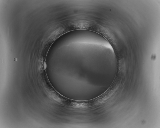 X0000098190073200804241255