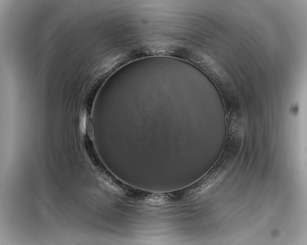X0000098190076200804241255
