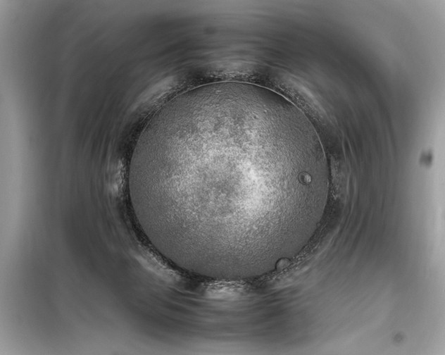 X0000098190077200804241255