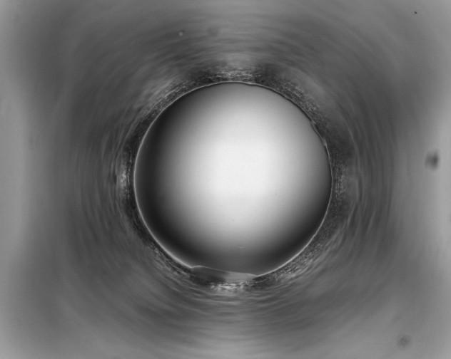 X0000098190084200804241255