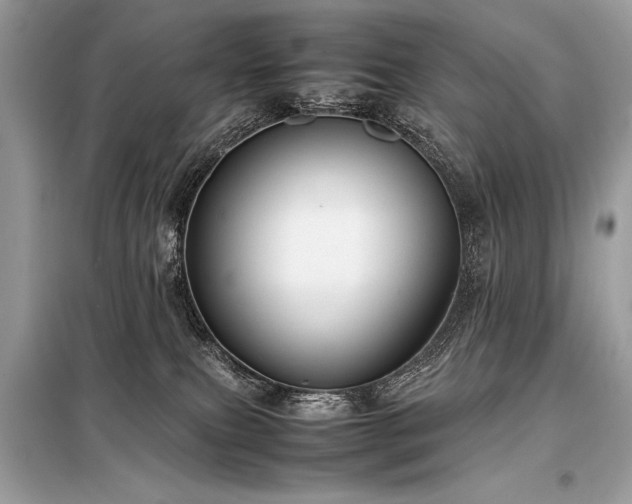 X0000098190087200804241255