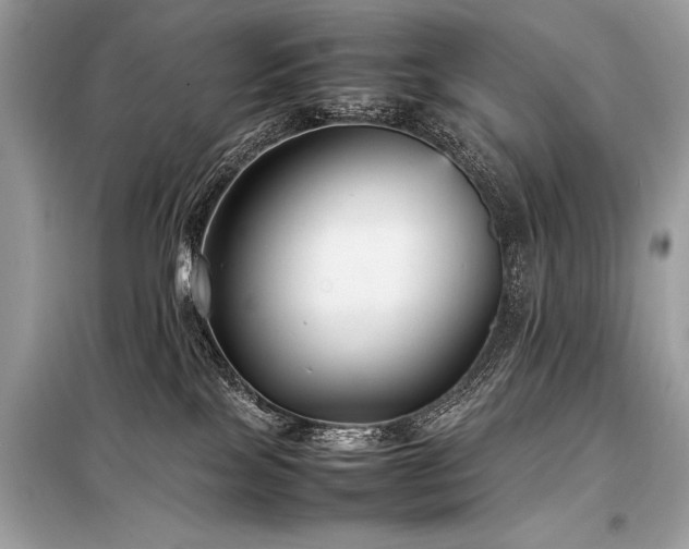 X0000098190089200804241255