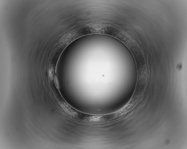 X0000098190090200804241255