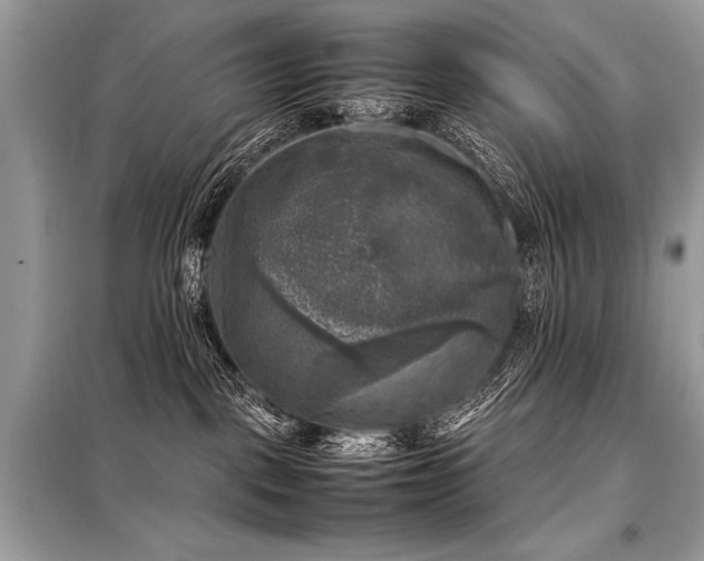 X0000098190093200804241255