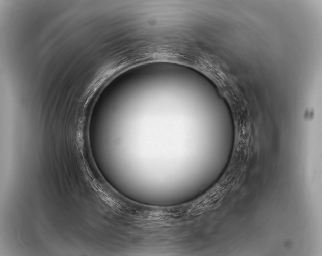 X0000098190098200804241254