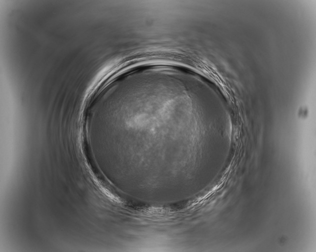 X0000098190101200804241254