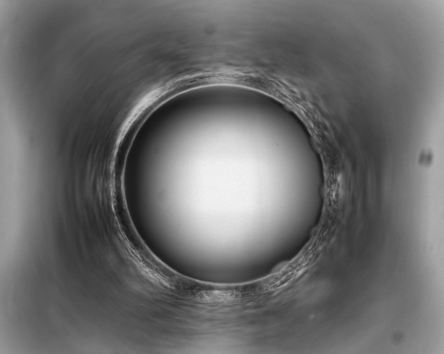 X0000098190102200804241254