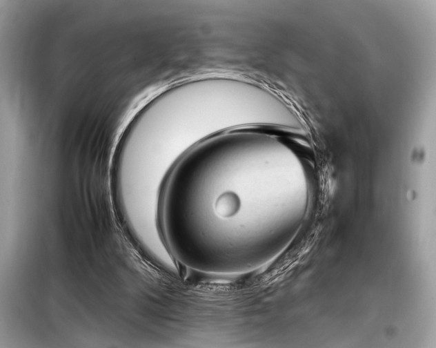 X0000098190104200804241254