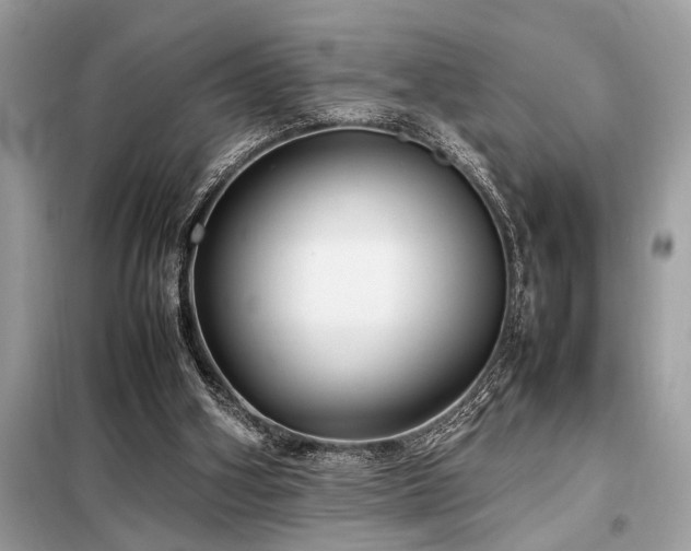 X0000098190106200804241254