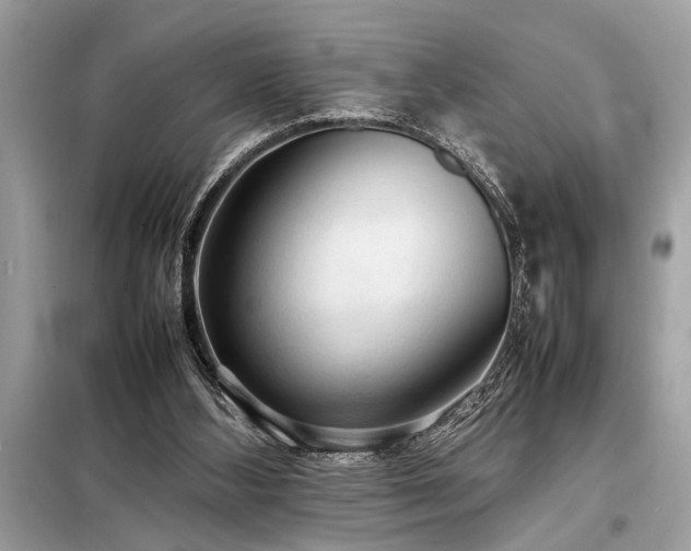 X0000098190108200804241254