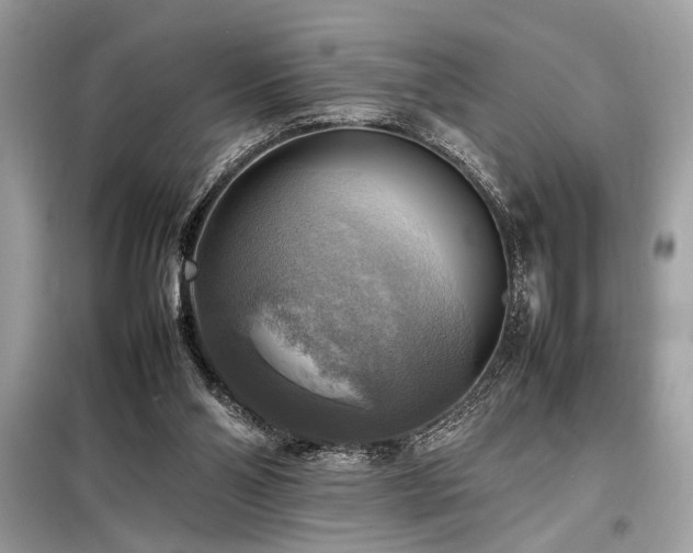 X0000098190110200804241254