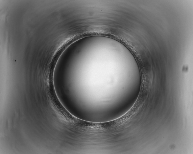 X0000098190112200804241254