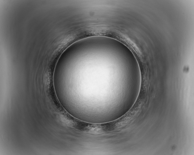 X0000098190113200804241254