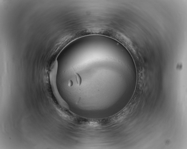 X0000098190114200804241254