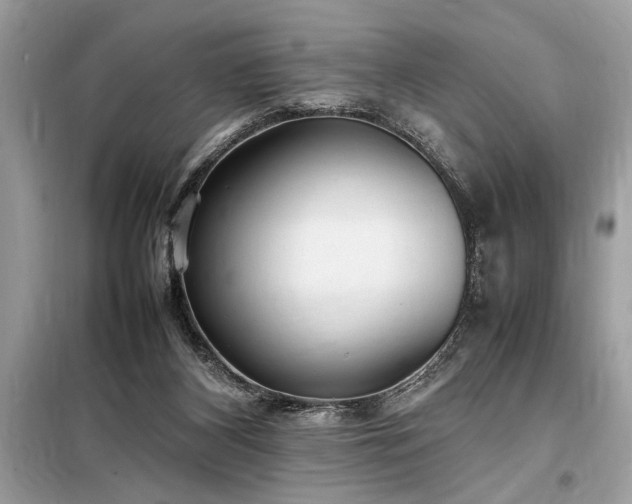 X0000098190116200804241254