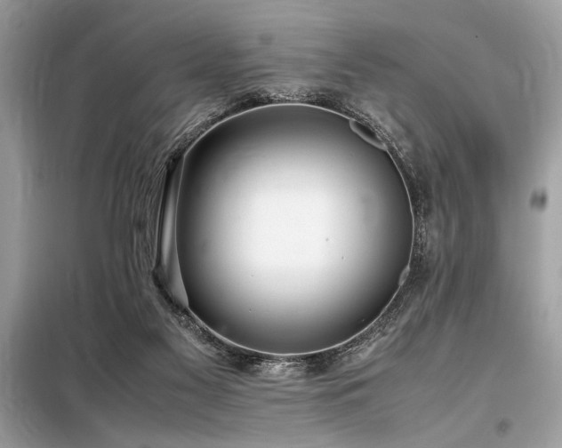 X0000098190117200804241254