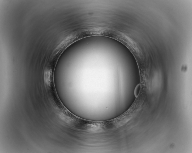 X0000098190118200804241254