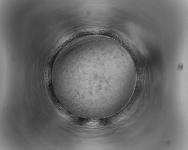 X0000098190119200804241254