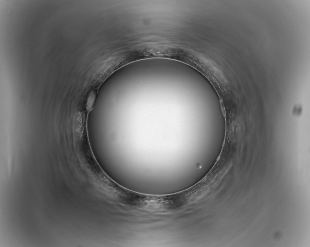 X0000098190121200804241254