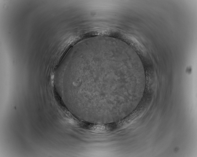 X0000098190123200804241254