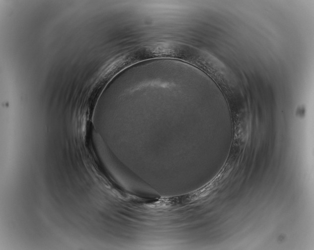 X0000098190124200804241254