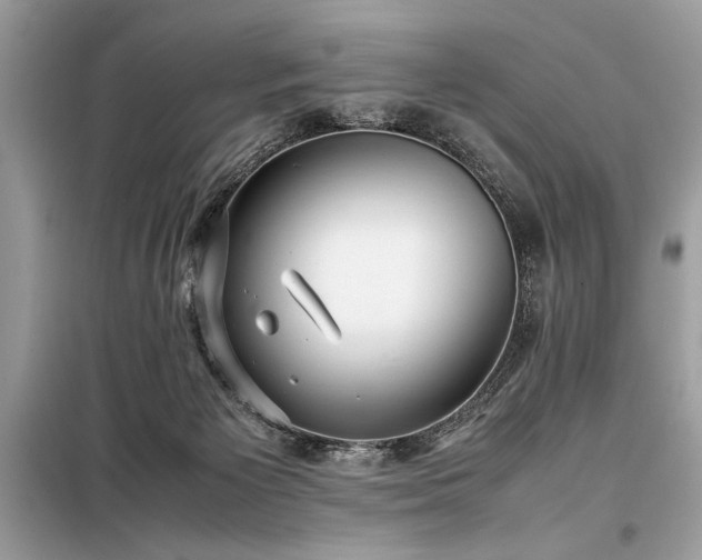 X0000098190125200804241254