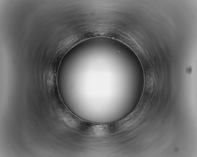 X0000098190126200804241254