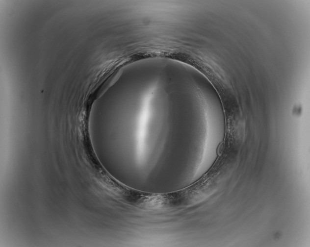 X0000098190127200804241254