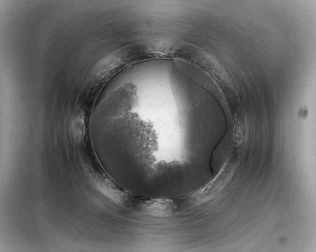 X0000098190128200804241254