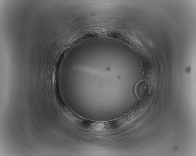 X0000098190131200804241254