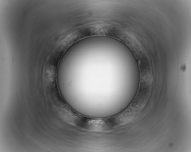 X0000098190133200804241254