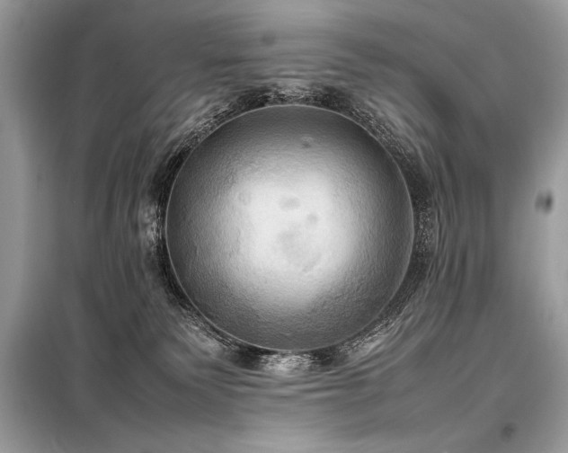 X0000098190135200804241254