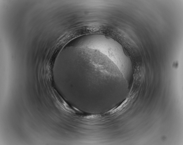 X0000098190136200804241254