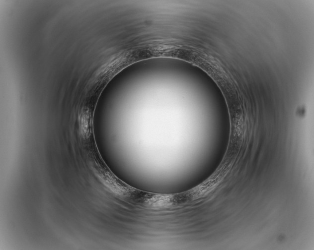 X0000098190138200804241254