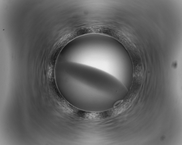 X0000098190139200804241254