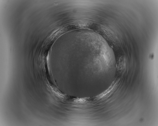 X0000098190140200804241253
