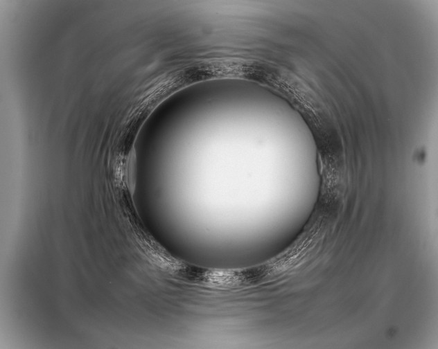 X0000098190141200804241253
