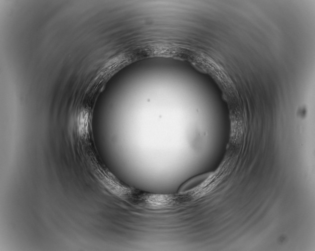 X0000098190142200804241253